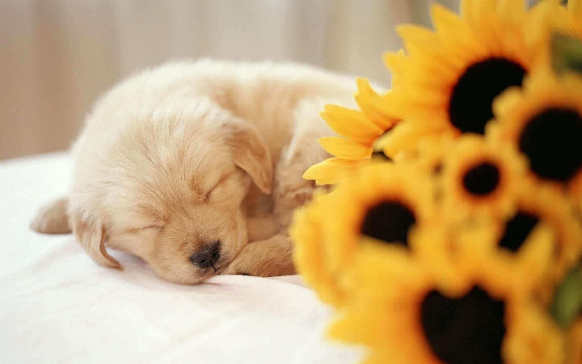 烘焙食品车间平面图(烘焙食品车间平面图怎么画)